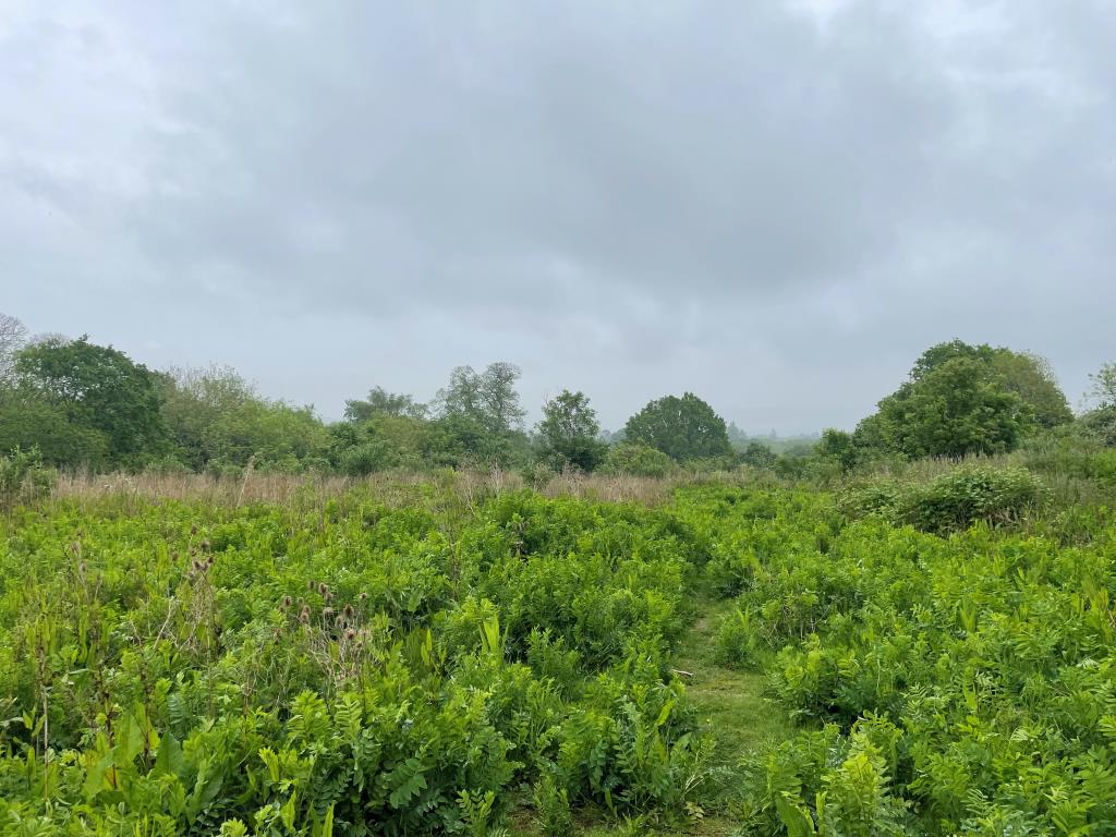 Lot: 88 - OVER SEVEN ACRES OF LAND -